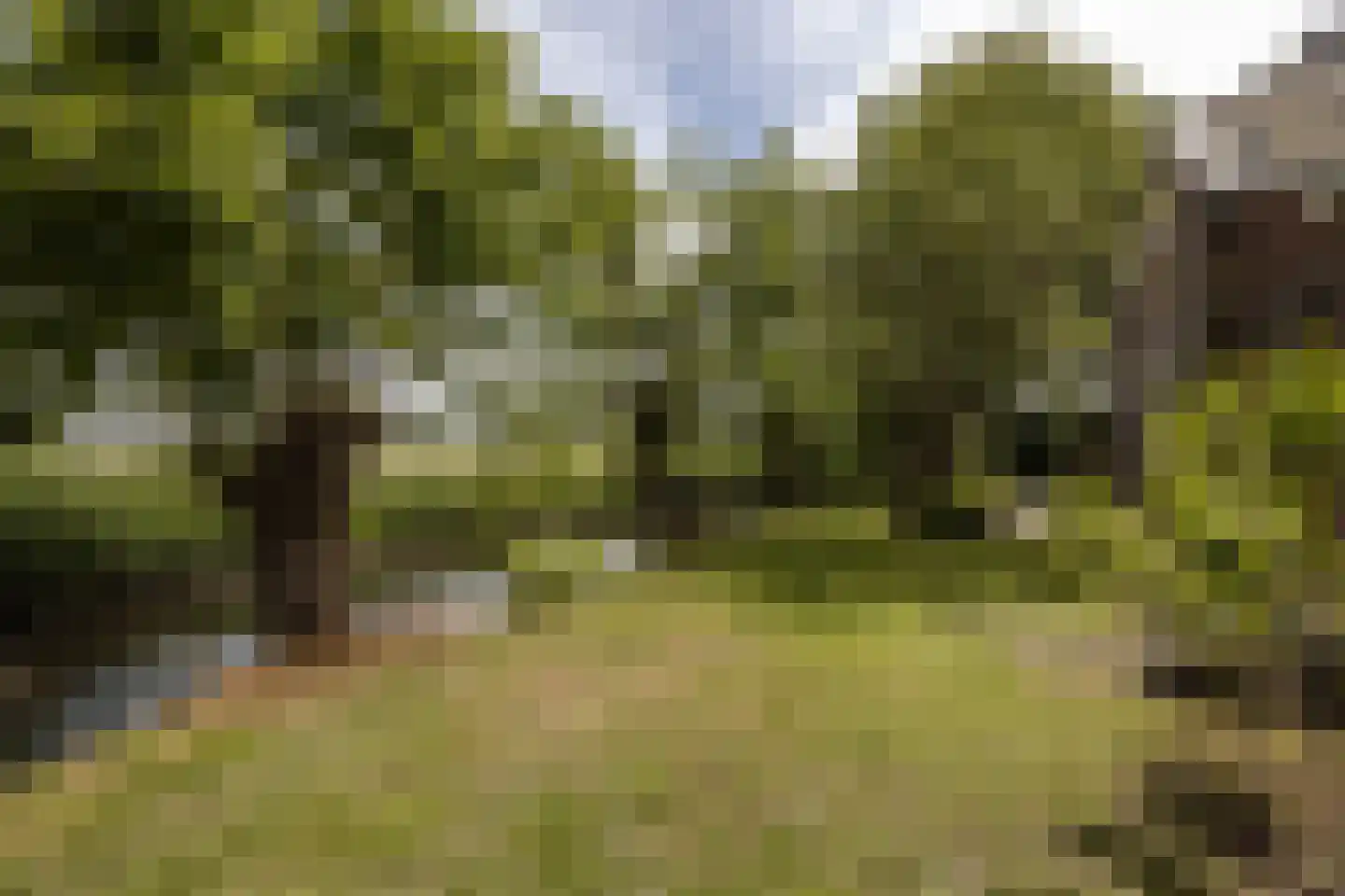 't Woudt 10 Schipluiden thumbnail 30