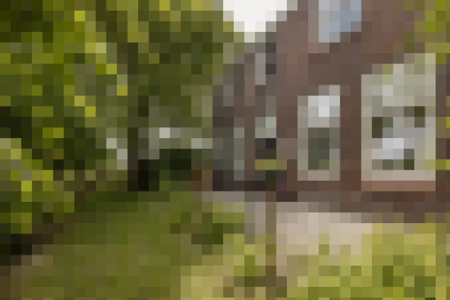 't Woudt 10 Schipluiden thumbnail 31
