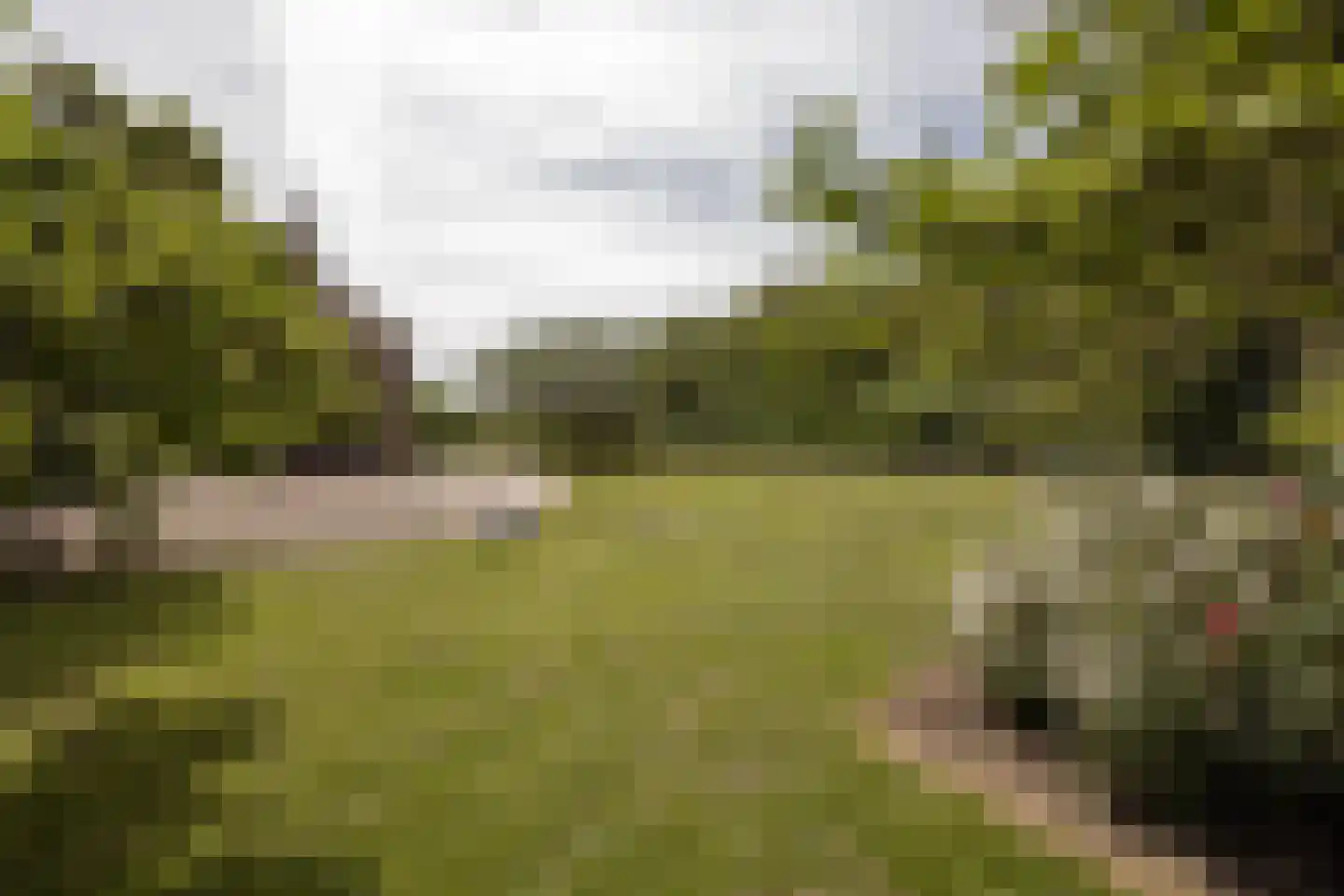 't Woudt 10 Schipluiden thumbnail 35