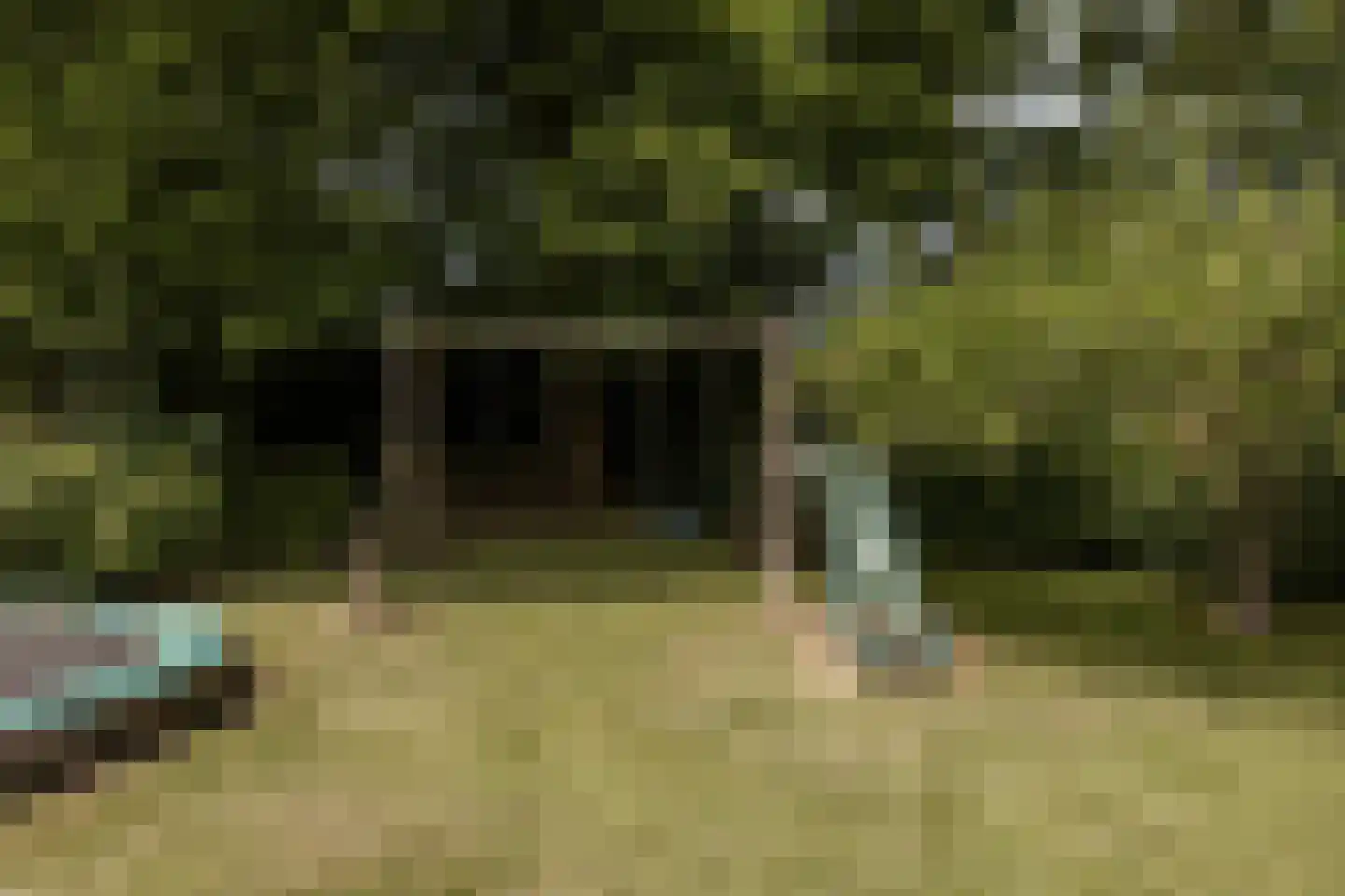 't Woudt 10 Schipluiden thumbnail 36