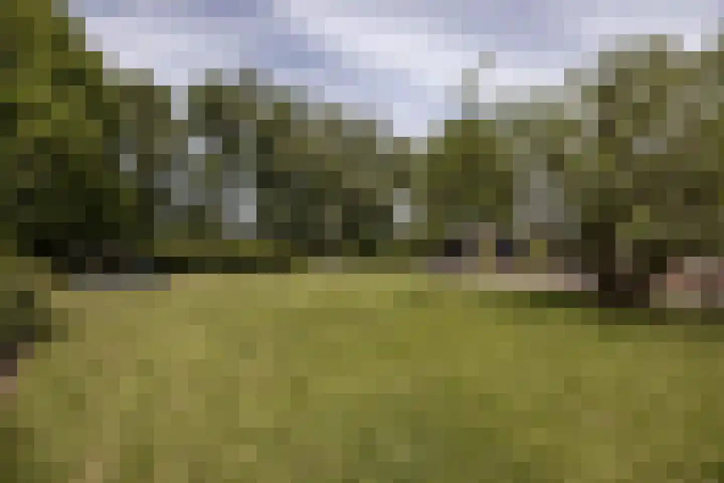 't Woudt 10 Schipluiden thumbnail 37