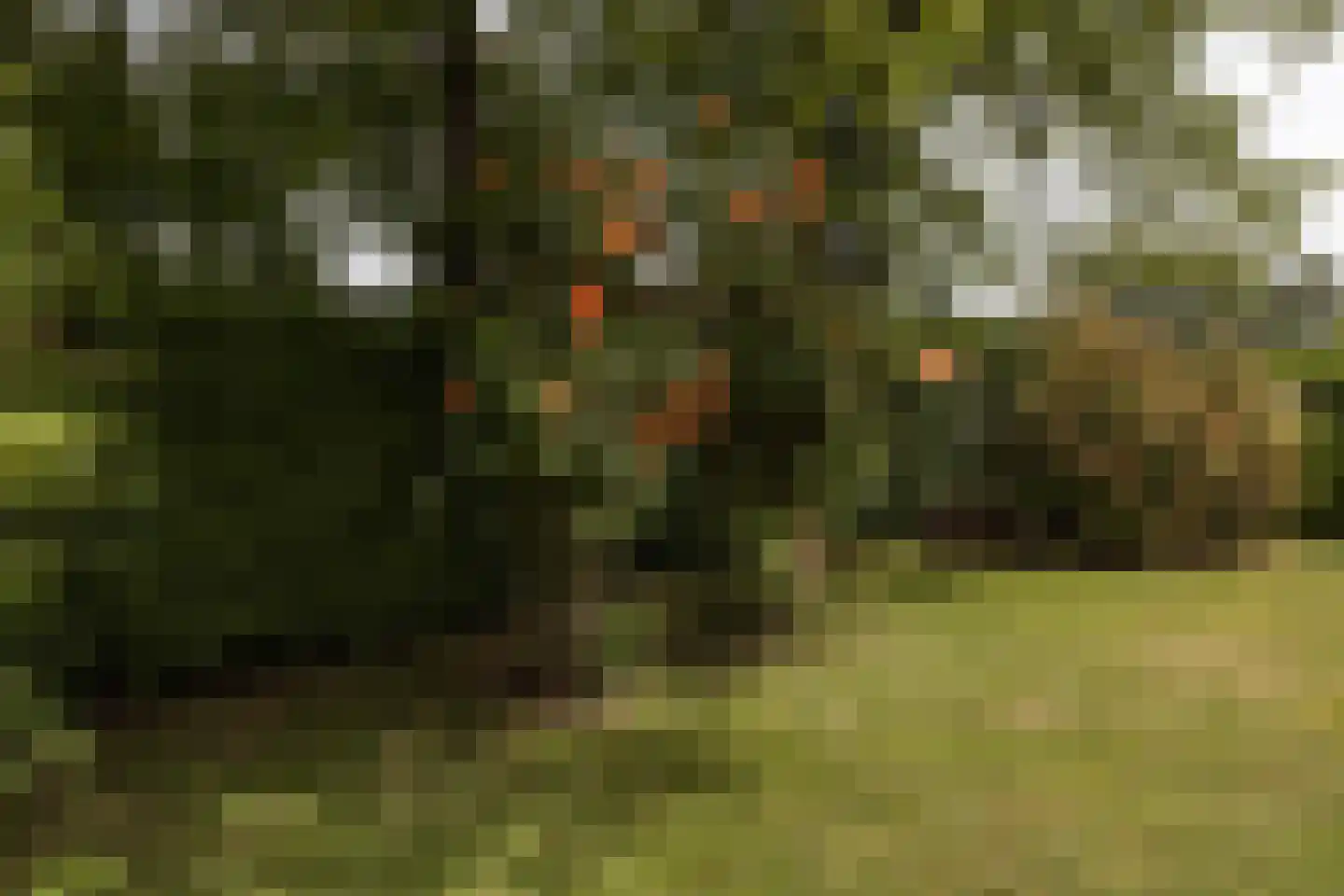 't Woudt 10 Schipluiden thumbnail 40