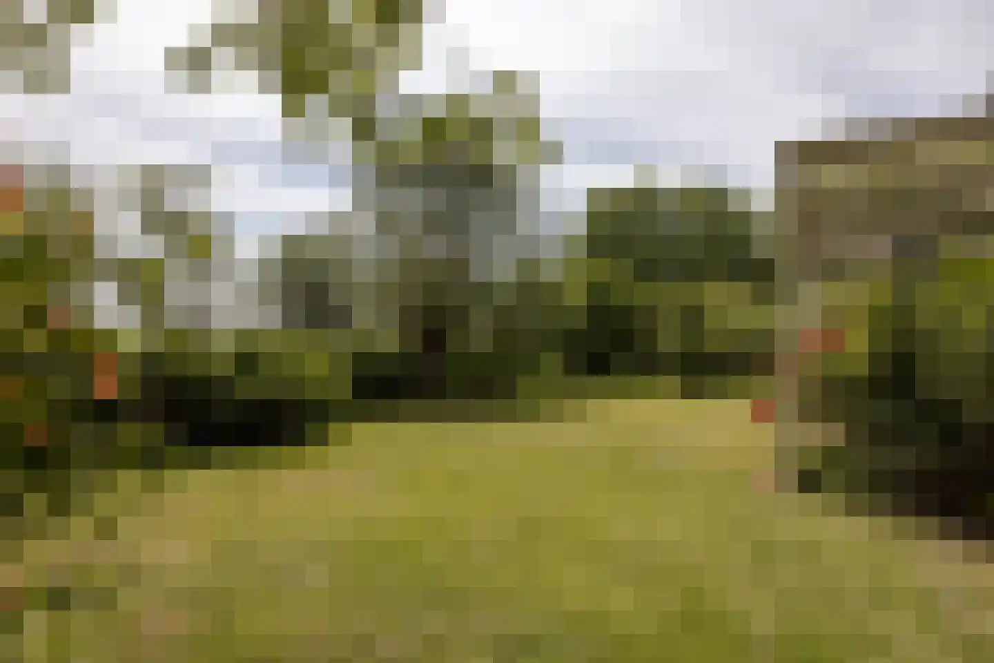 't Woudt 10 Schipluiden thumbnail 41