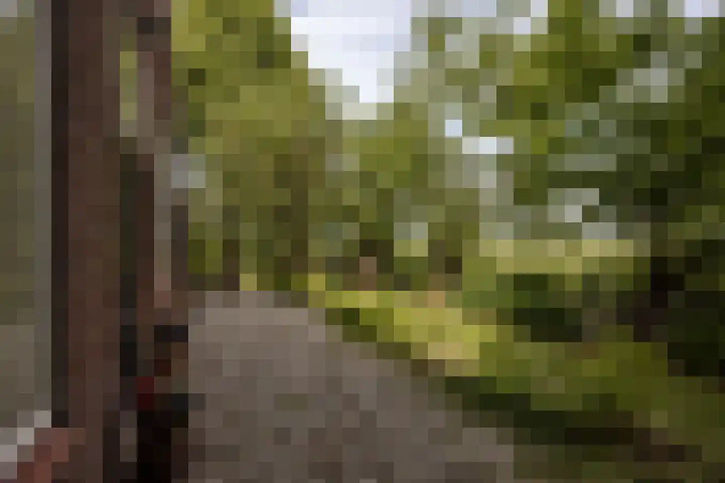 't Woudt 10 Schipluiden thumbnail 43