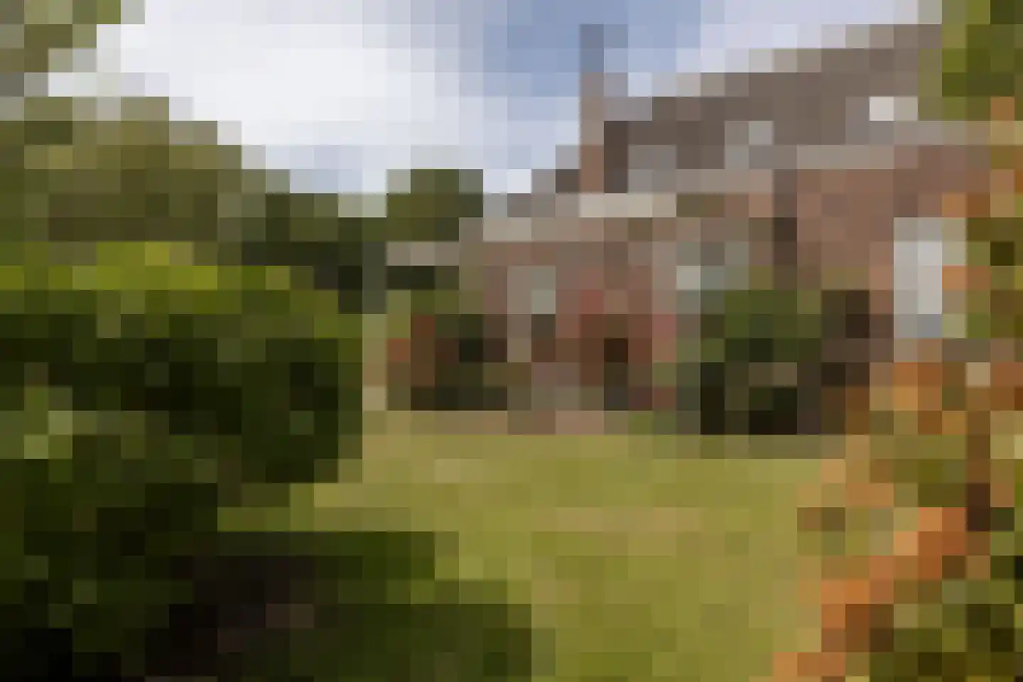 't Woudt 10 Schipluiden thumbnail 44