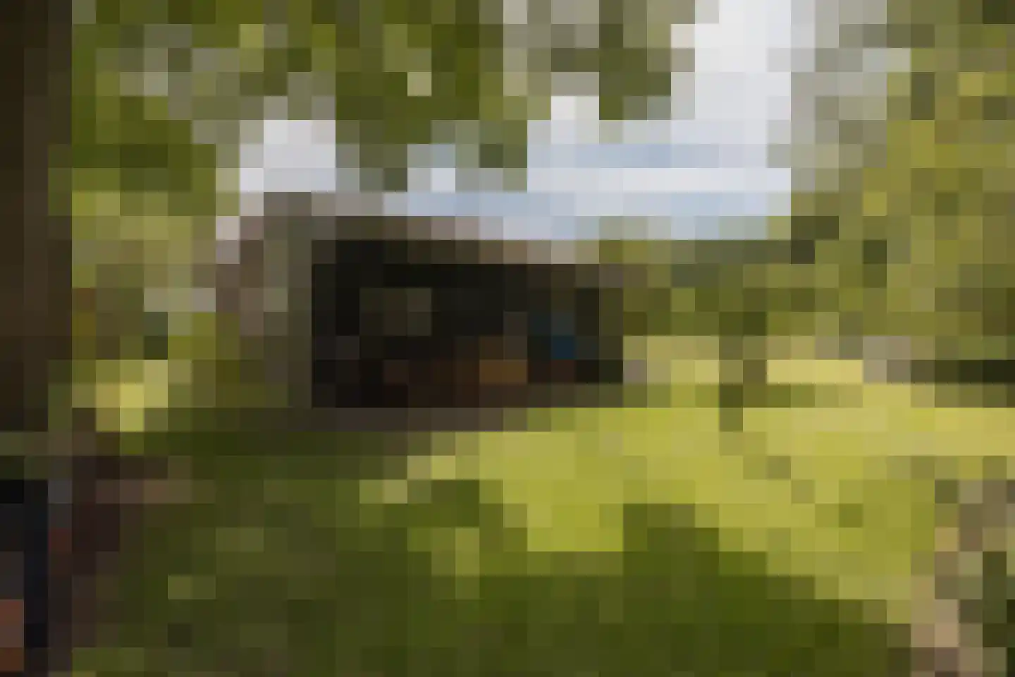 't Woudt 10 Schipluiden thumbnail 46