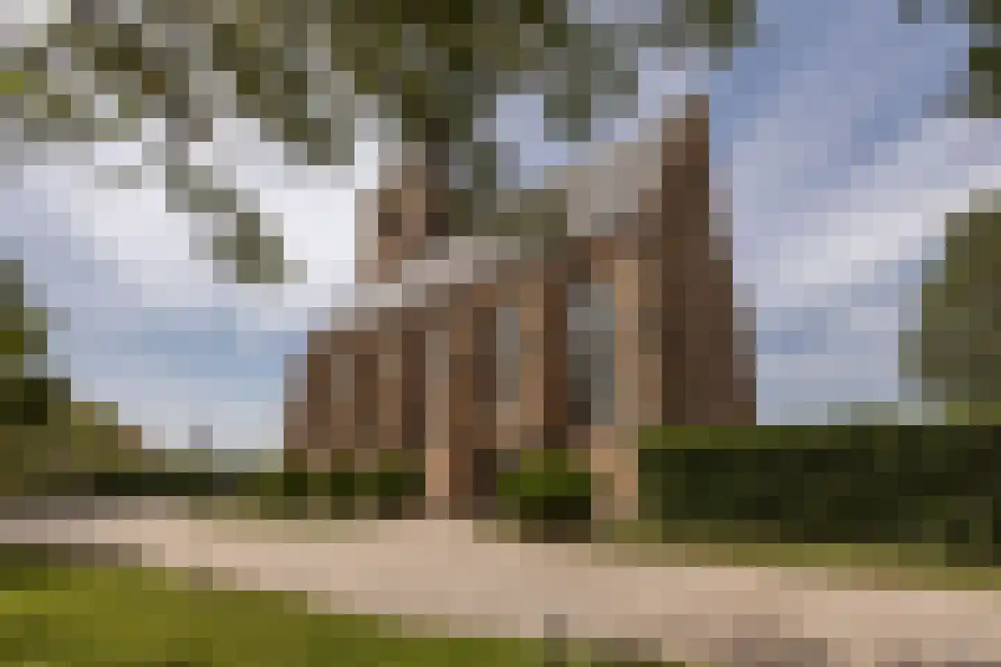 't Woudt 10 Schipluiden thumbnail 47