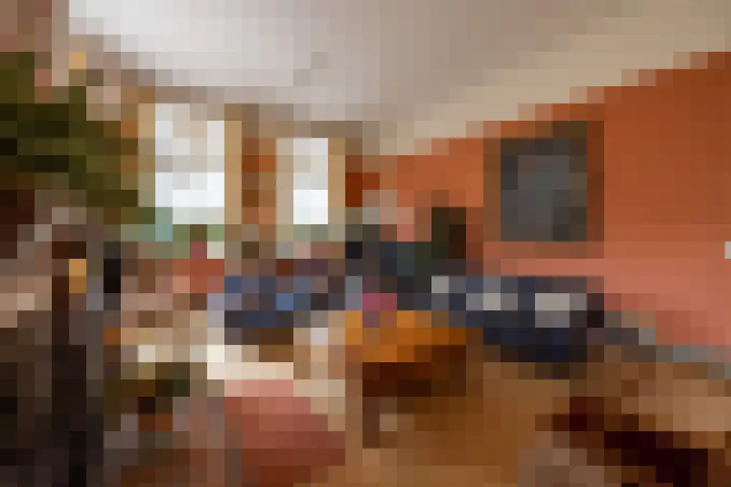 't Woudt 10 Schipluiden thumbnail 5