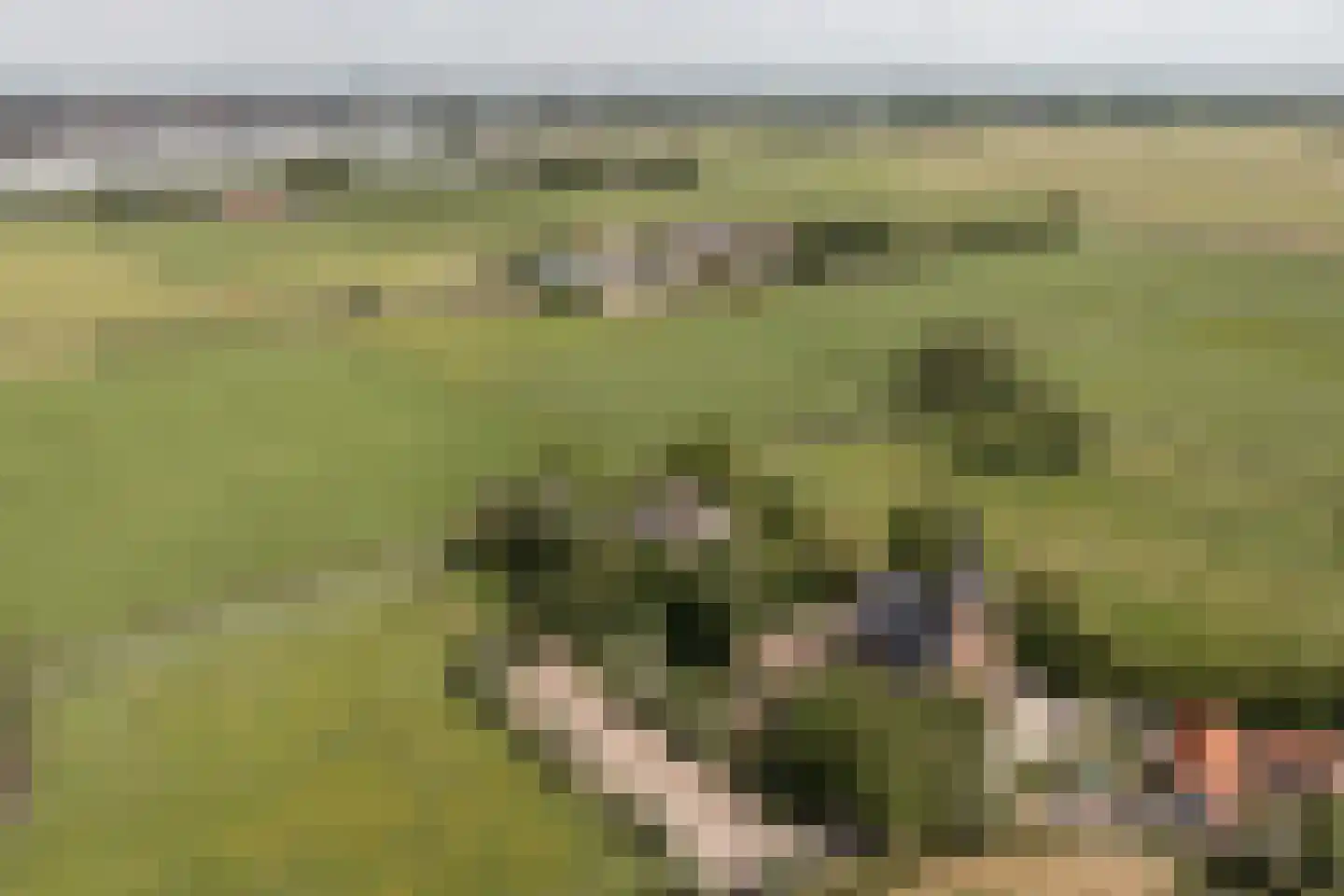 't Woudt 10 Schipluiden thumbnail 50
