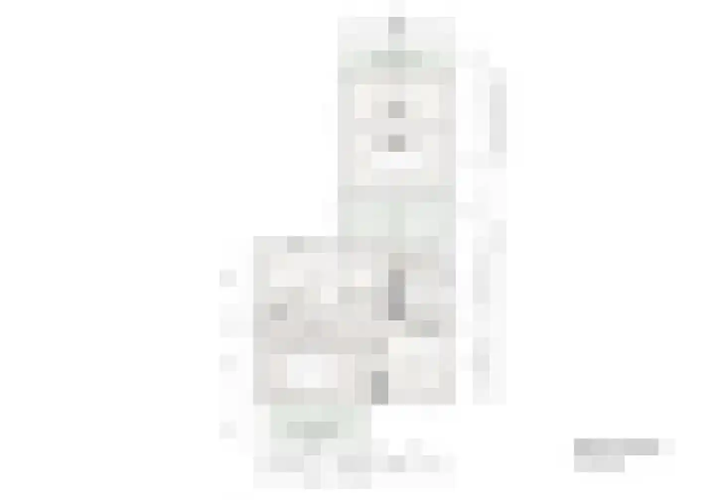 't Woudt 10 Schipluiden thumbnail 51