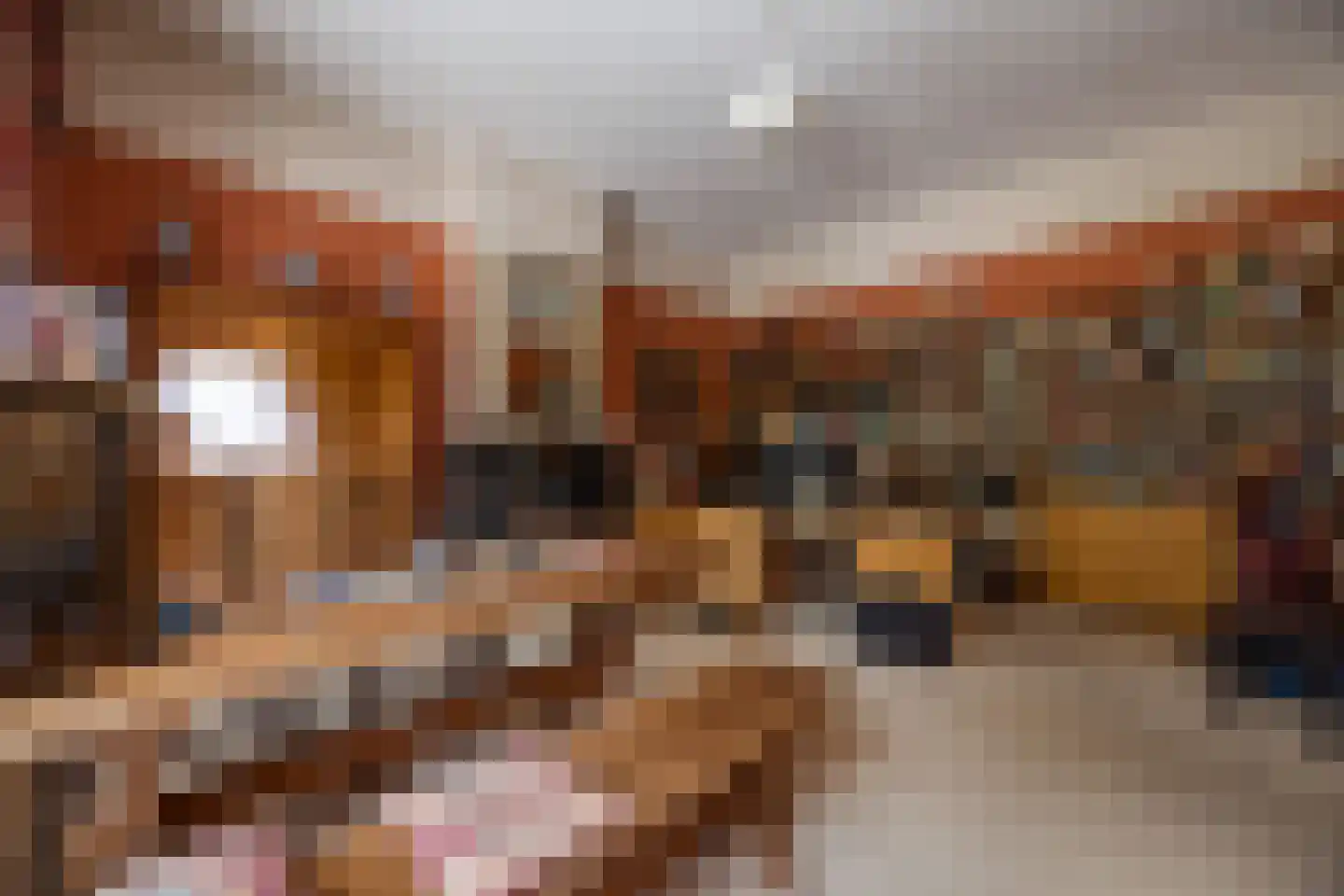 't Woudt 10 Schipluiden thumbnail 7