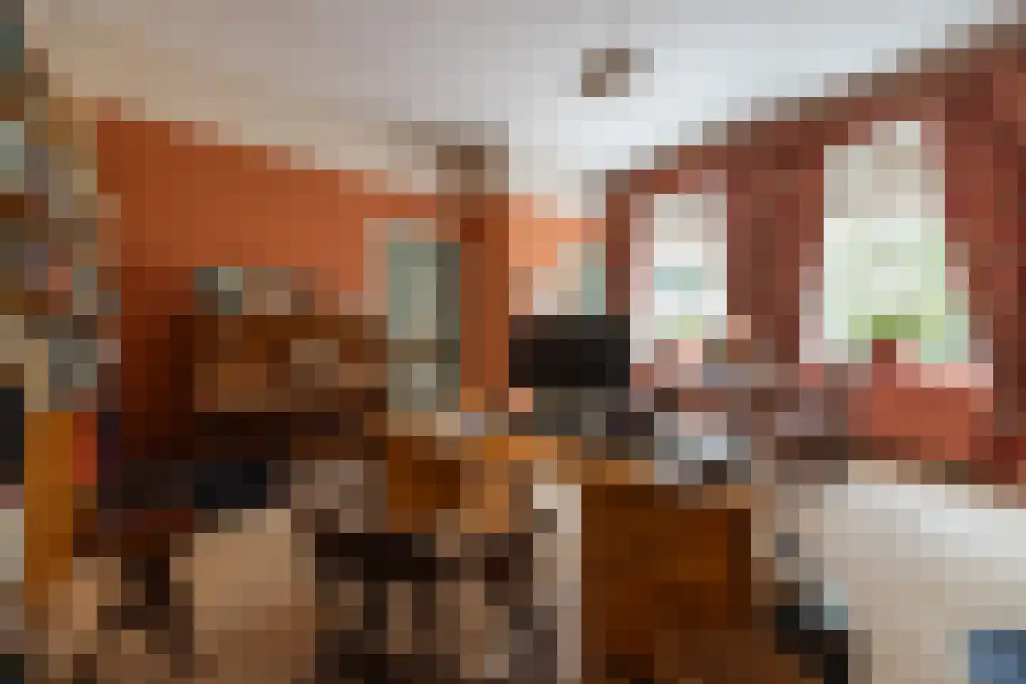't Woudt 10 Schipluiden thumbnail 8