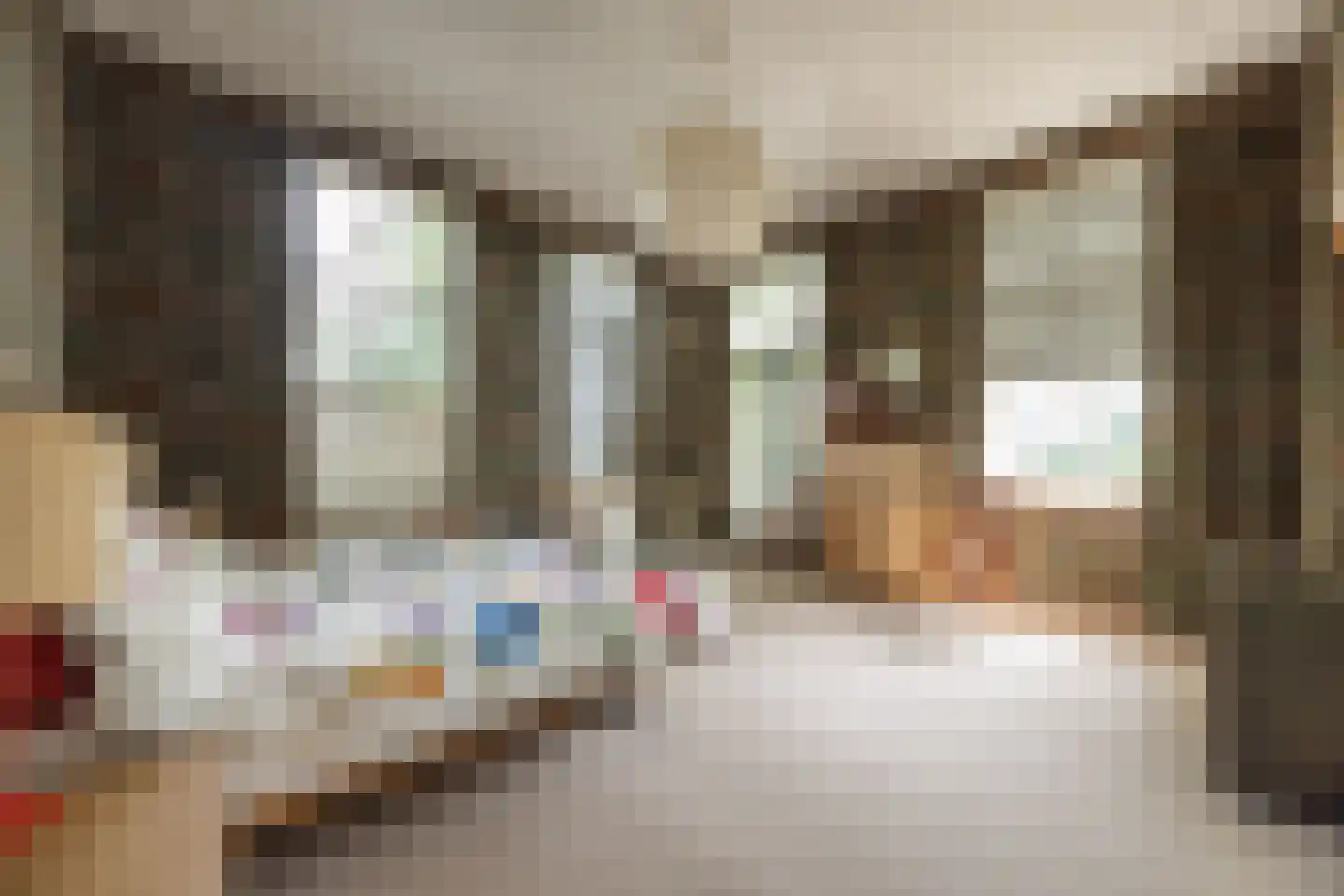 't Woudt 10 Schipluiden thumbnail 9