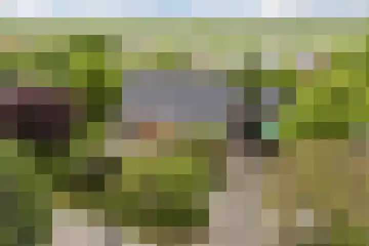 't Woudt 13 Schipluiden