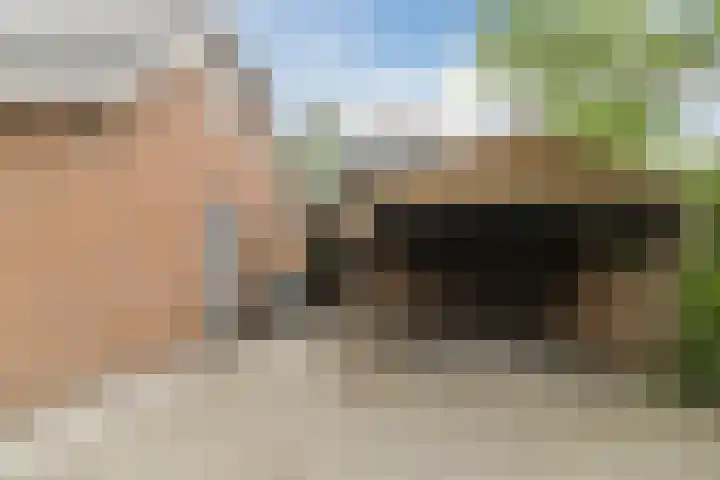 't Woudt 13 Schipluiden thumbnail 10