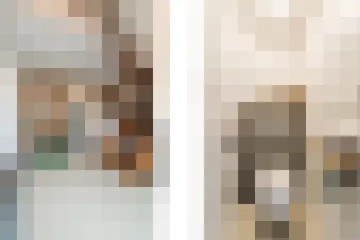 't Woudt 13 Schipluiden thumbnail 12
