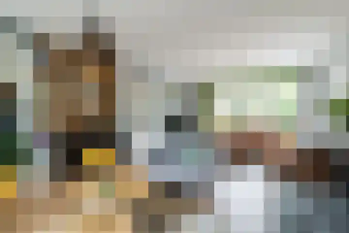 't Woudt 13 Schipluiden thumbnail 16