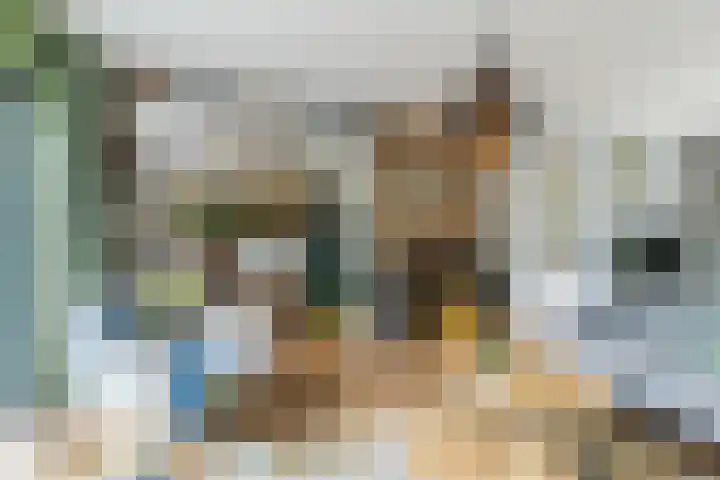't Woudt 13 Schipluiden thumbnail 17