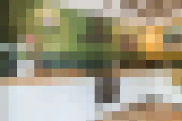 't Woudt 13 Schipluiden thumbnail 18