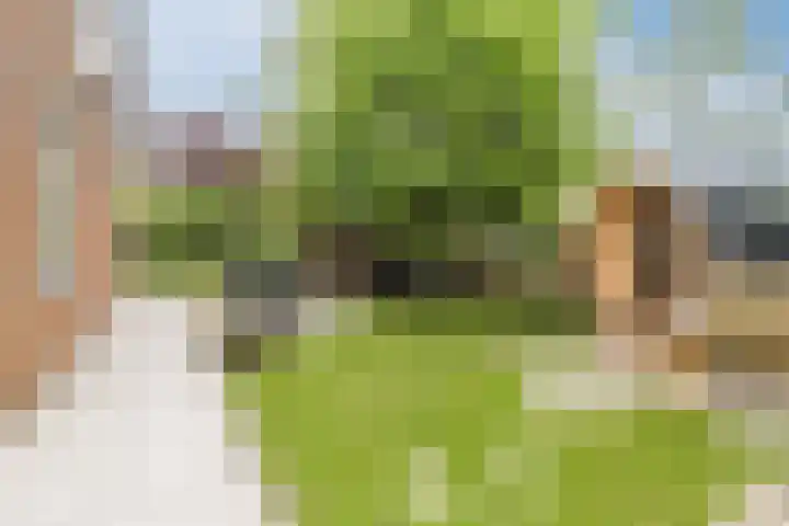 't Woudt 13 Schipluiden foto 2