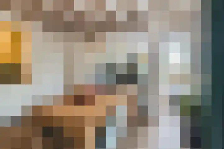 't Woudt 13 Schipluiden thumbnail 20