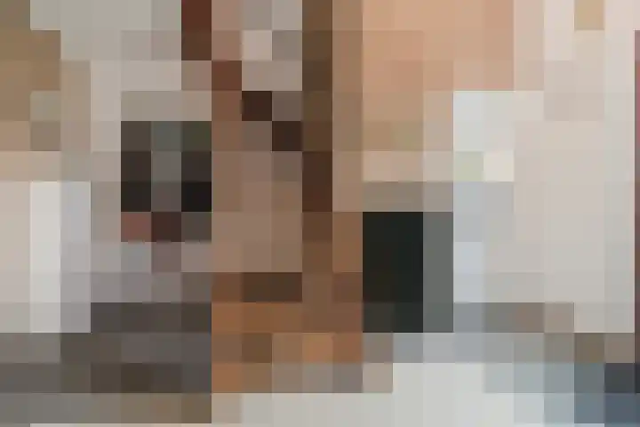 't Woudt 13 Schipluiden thumbnail 25