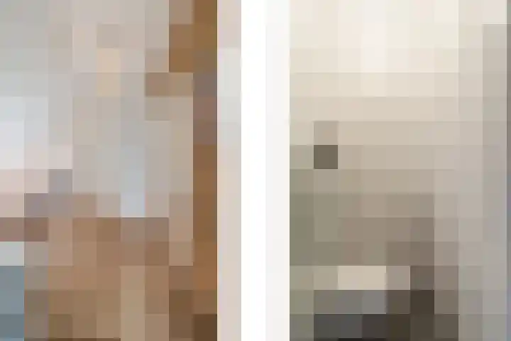 't Woudt 13 Schipluiden thumbnail 26