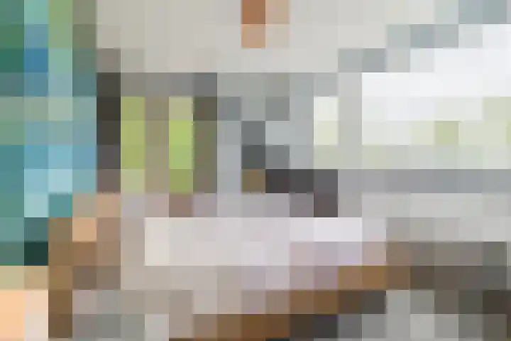 't Woudt 13 Schipluiden thumbnail 28
