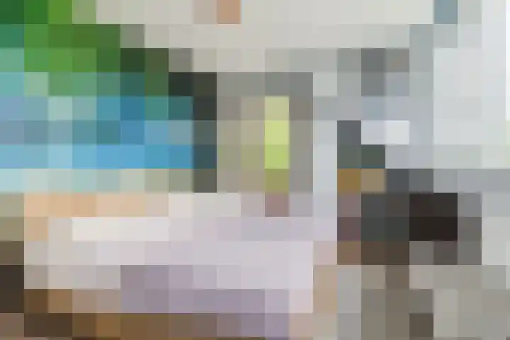 't Woudt 13 Schipluiden thumbnail 29