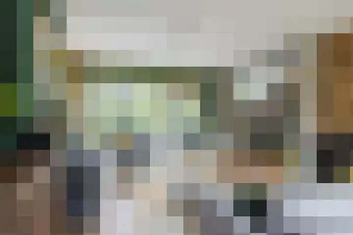 't Woudt 13 Schipluiden foto 3