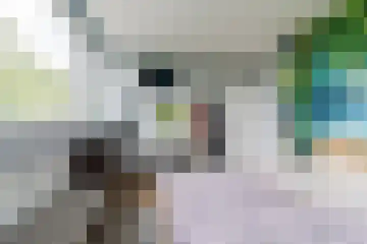 't Woudt 13 Schipluiden thumbnail 30