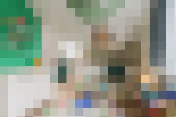 't Woudt 13 Schipluiden thumbnail 34