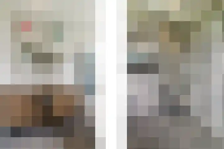 't Woudt 13 Schipluiden thumbnail 36