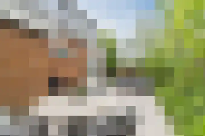 't Woudt 13 Schipluiden thumbnail 37