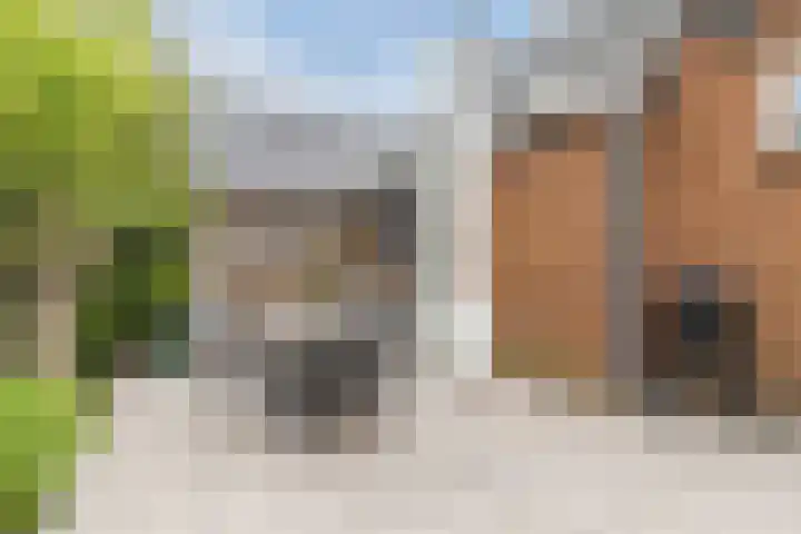 't Woudt 13 Schipluiden thumbnail 38