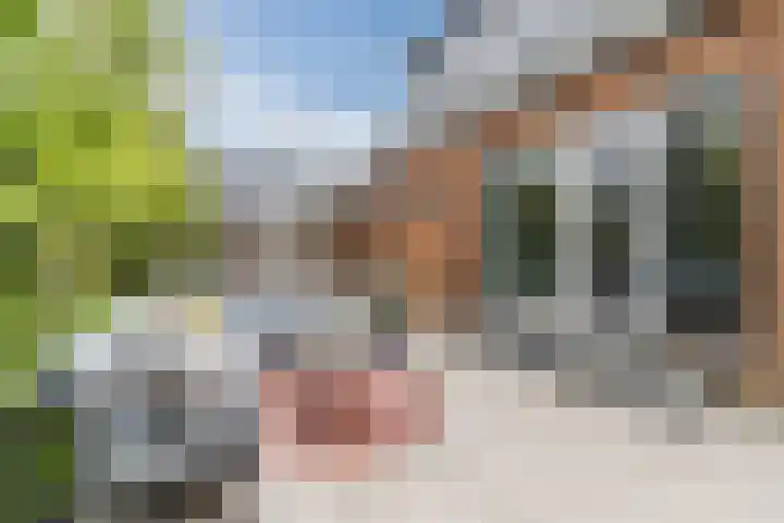 't Woudt 13 Schipluiden thumbnail 39