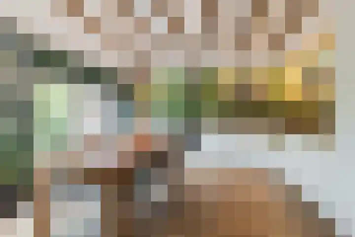 't Woudt 13 Schipluiden thumbnail 4