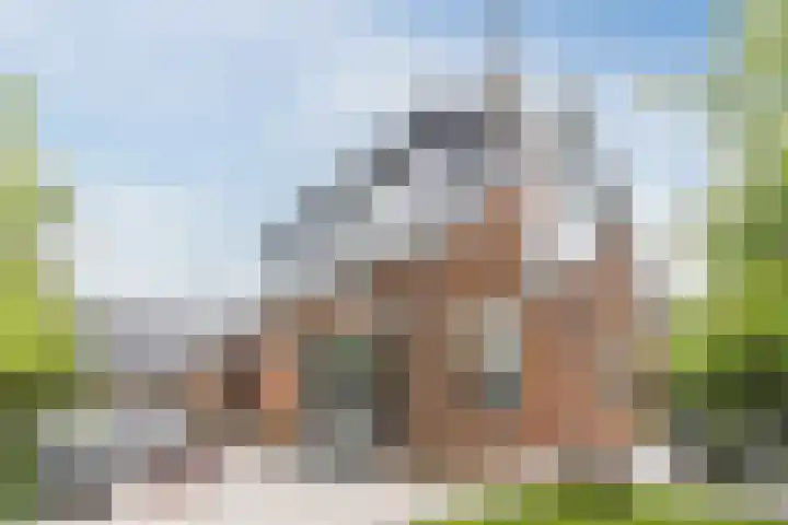 't Woudt 13 Schipluiden thumbnail 40