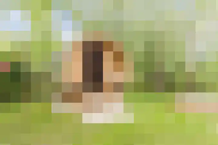 't Woudt 13 Schipluiden thumbnail 41