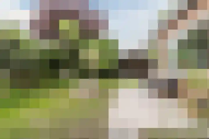 't Woudt 13 Schipluiden thumbnail 44