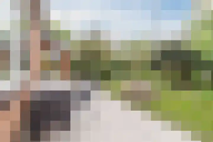 't Woudt 13 Schipluiden thumbnail 45