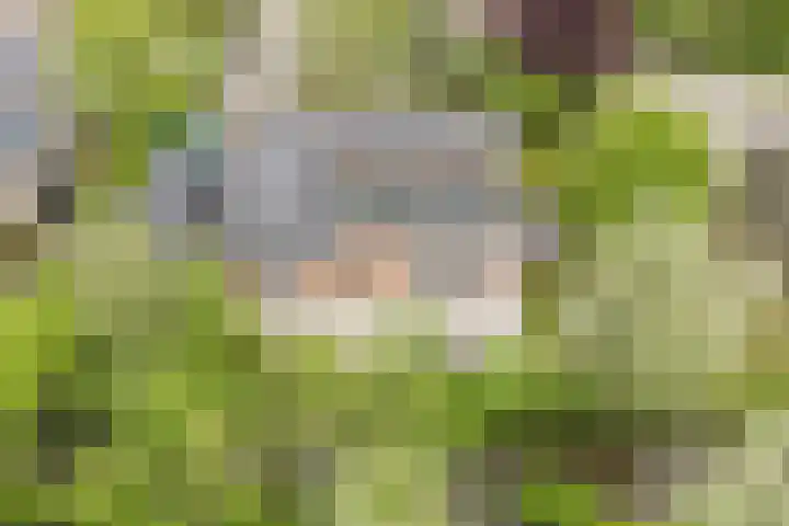 't Woudt 13 Schipluiden thumbnail 47