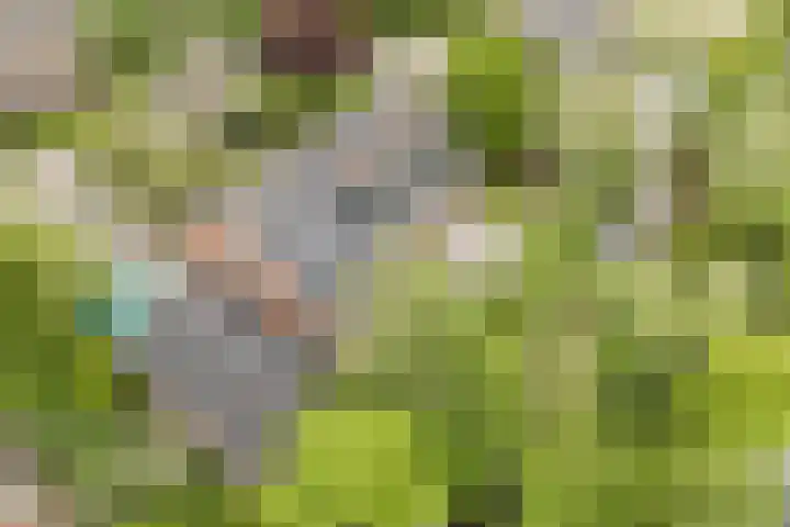 't Woudt 13 Schipluiden thumbnail 48