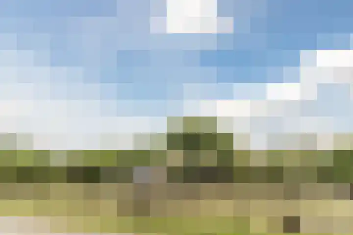 't Woudt 13 Schipluiden thumbnail 49