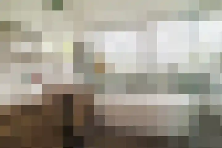 't Woudt 13 Schipluiden thumbnail 5