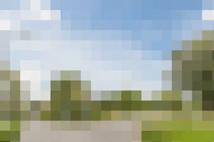 't Woudt 13 Schipluiden thumbnail 50
