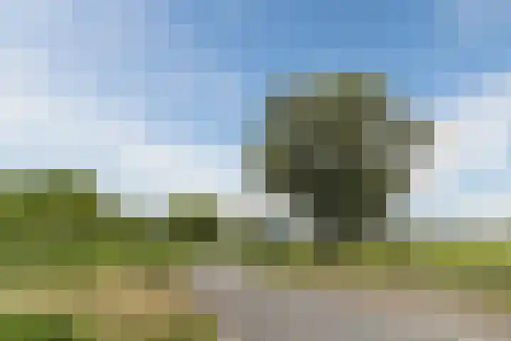 't Woudt 13 Schipluiden thumbnail 51