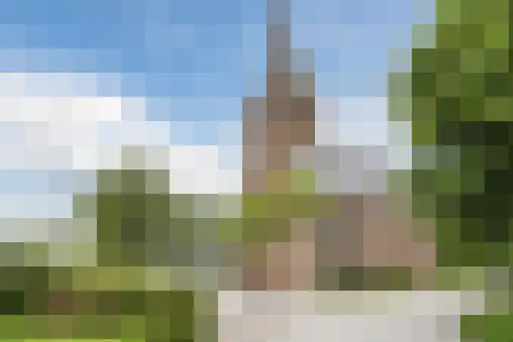 't Woudt 13 Schipluiden thumbnail 52