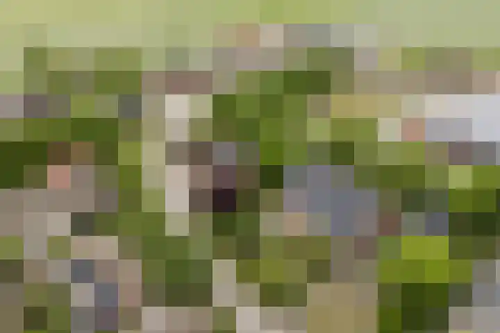 't Woudt 13 Schipluiden thumbnail 6