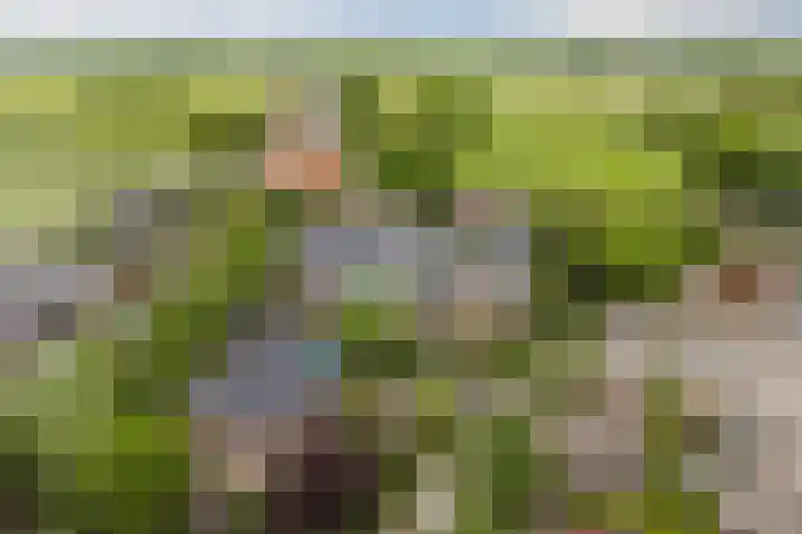 't Woudt 13 Schipluiden thumbnail 7